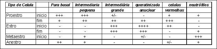 Citologia vaginal em cadelas