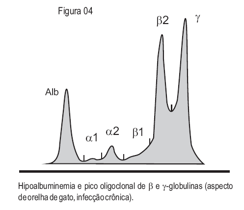 Aspecto de orelha de gato infecção crônica