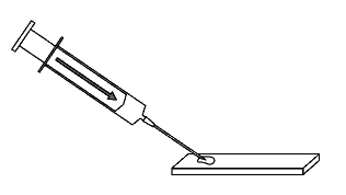 Deposite o conteúdo da agulha na lâmina de miscroscopia