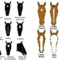 Pelagem dos Equídeos - Particularidades da Pelagem Conjugada | Laboratório Veterinário Santé