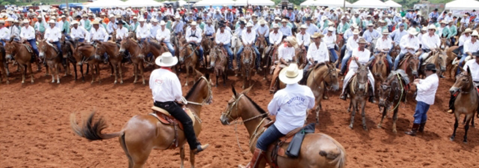 Santé Laboratório apoia o 8º Encontro Nacional de Muladeiros 2015 | Laboratório Veterinário Santé