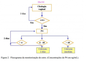 fluxograma_estro