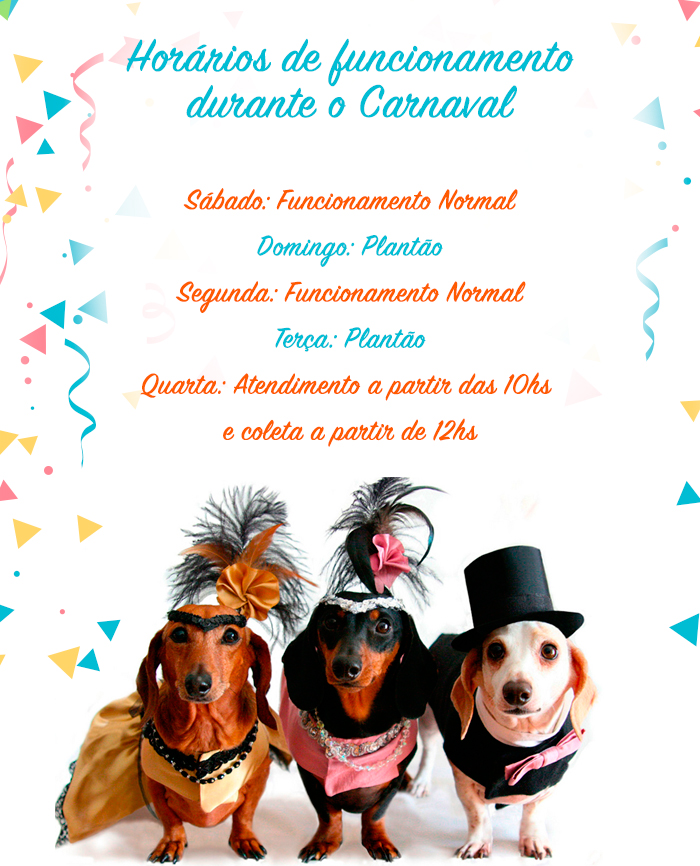 horarios-carnaval