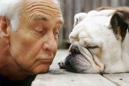 o comportamento do cachorro é o espelho de como seu dono trata as pessoas ao seu redor