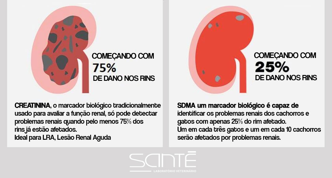 o teste tradicional de creatinina, que só detecta alterações quando quase 75% da função renal já foi perdida