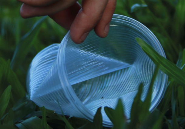 Os copos de plástico descartáveis são produzidos a partir de poliestireno, componente derivado do petróleo