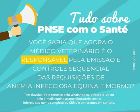 rede-pnse